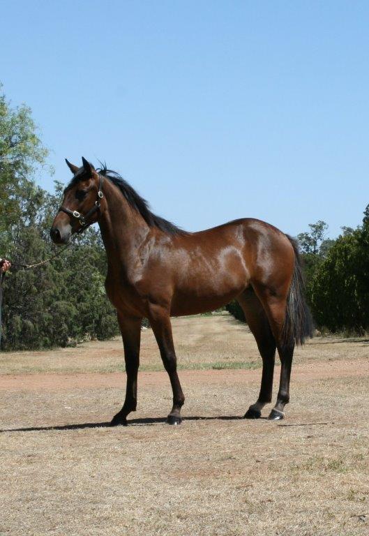 SIOUX RAINBOW